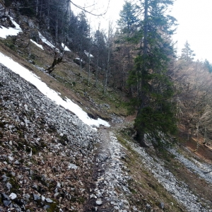 Anfang Fockenstein Trail